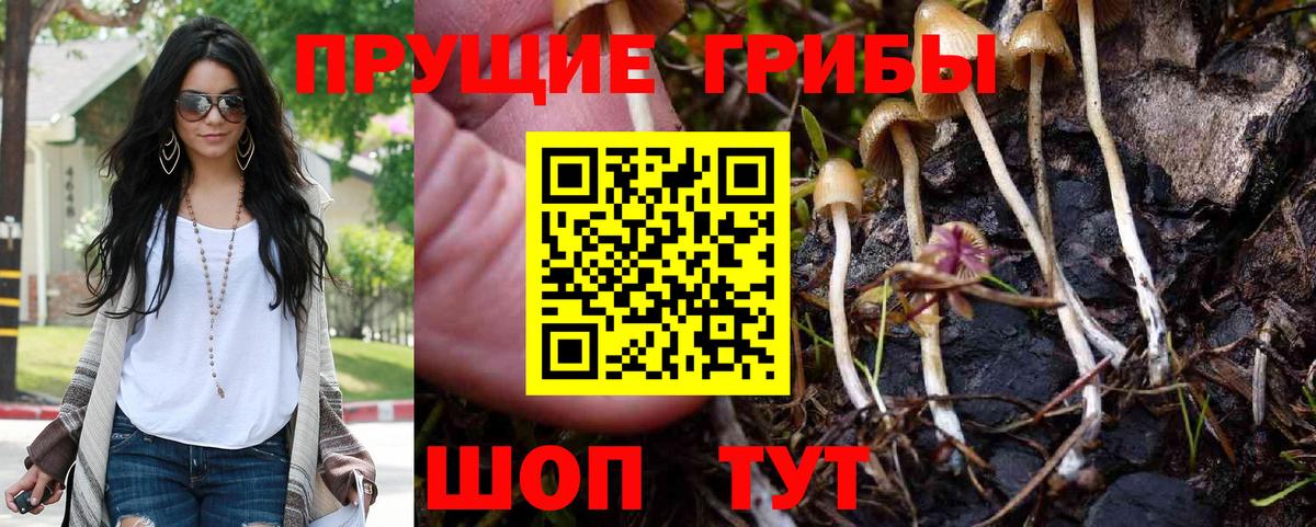 Псилоцибиновые грибы Magic Shrooms Карталы