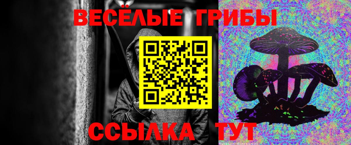 Галлюциногенные грибы прущие грибы  Вход с VPN  Карталы 